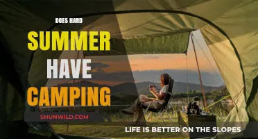Does Hard Summer Festival Offer Camping Options? A Complete Guide