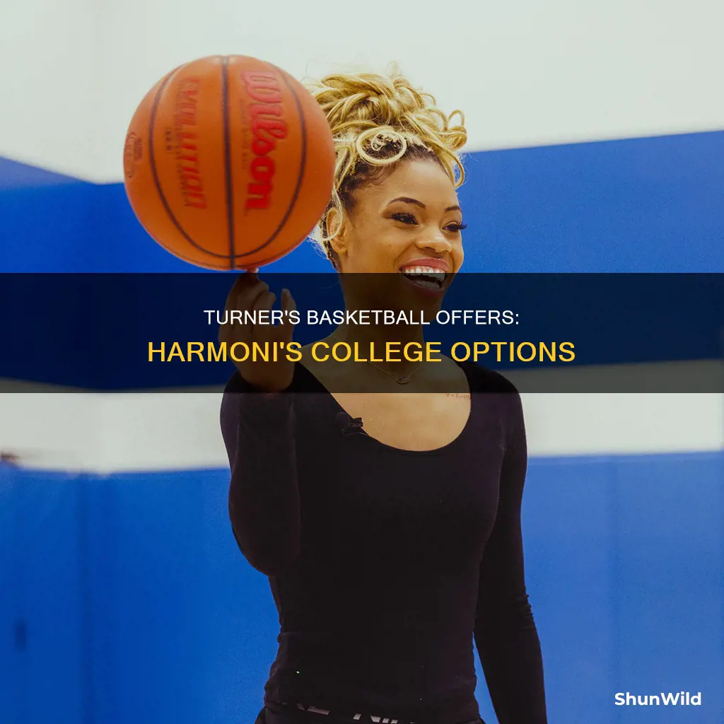 does harmoni turner basketball offers