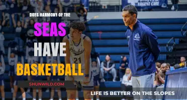 Harmony of the Seas: Basketball and More