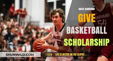 Harvard Basketball: Scholarships or Academic Merit?