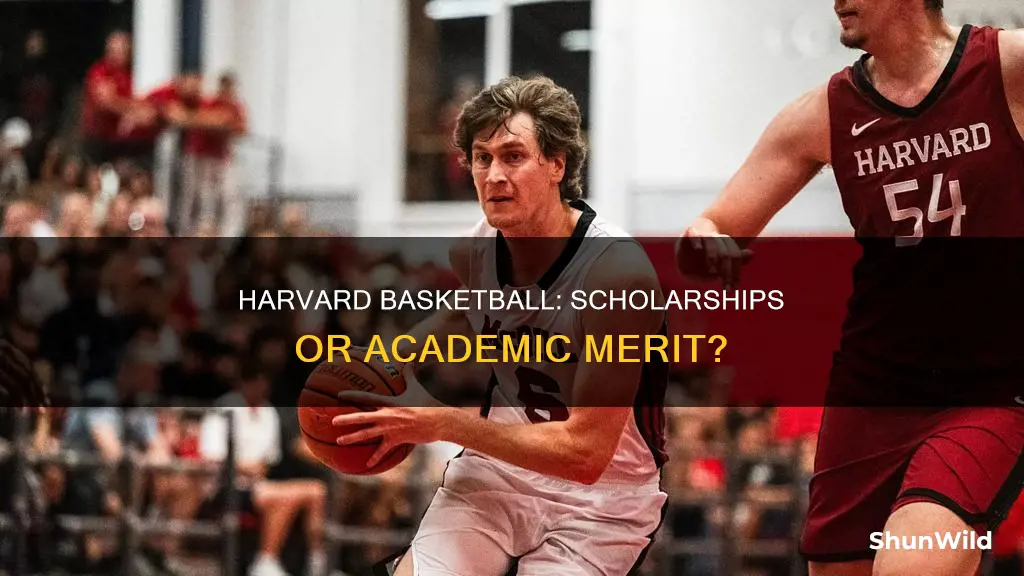 does harvard give basketball scholarships