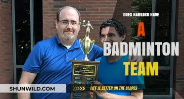Badminton at Harvard: Competitive or Casual?