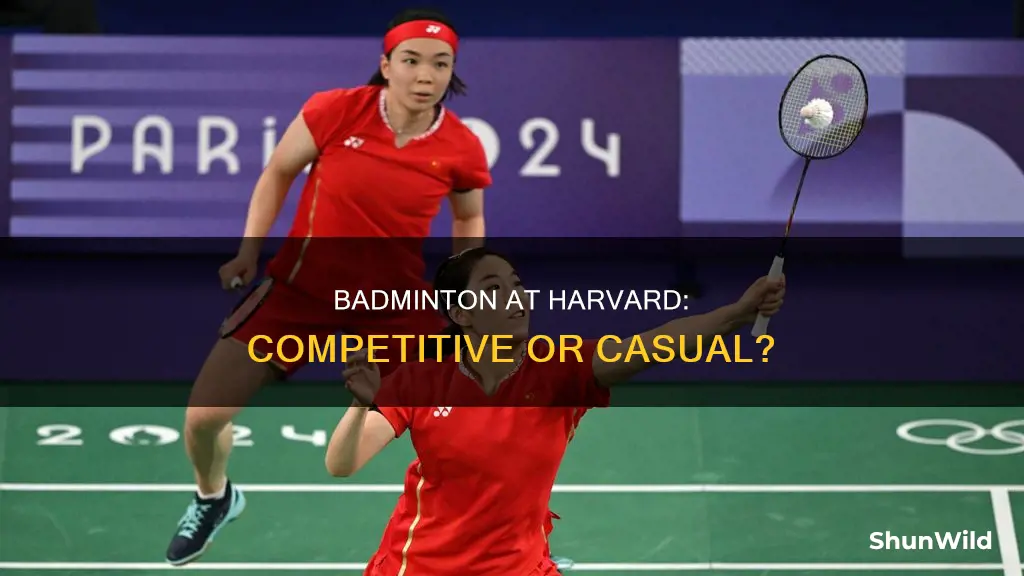 does harvard have a badminton team