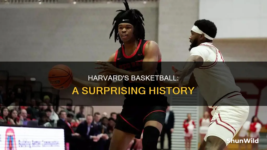 does harvard have basketball