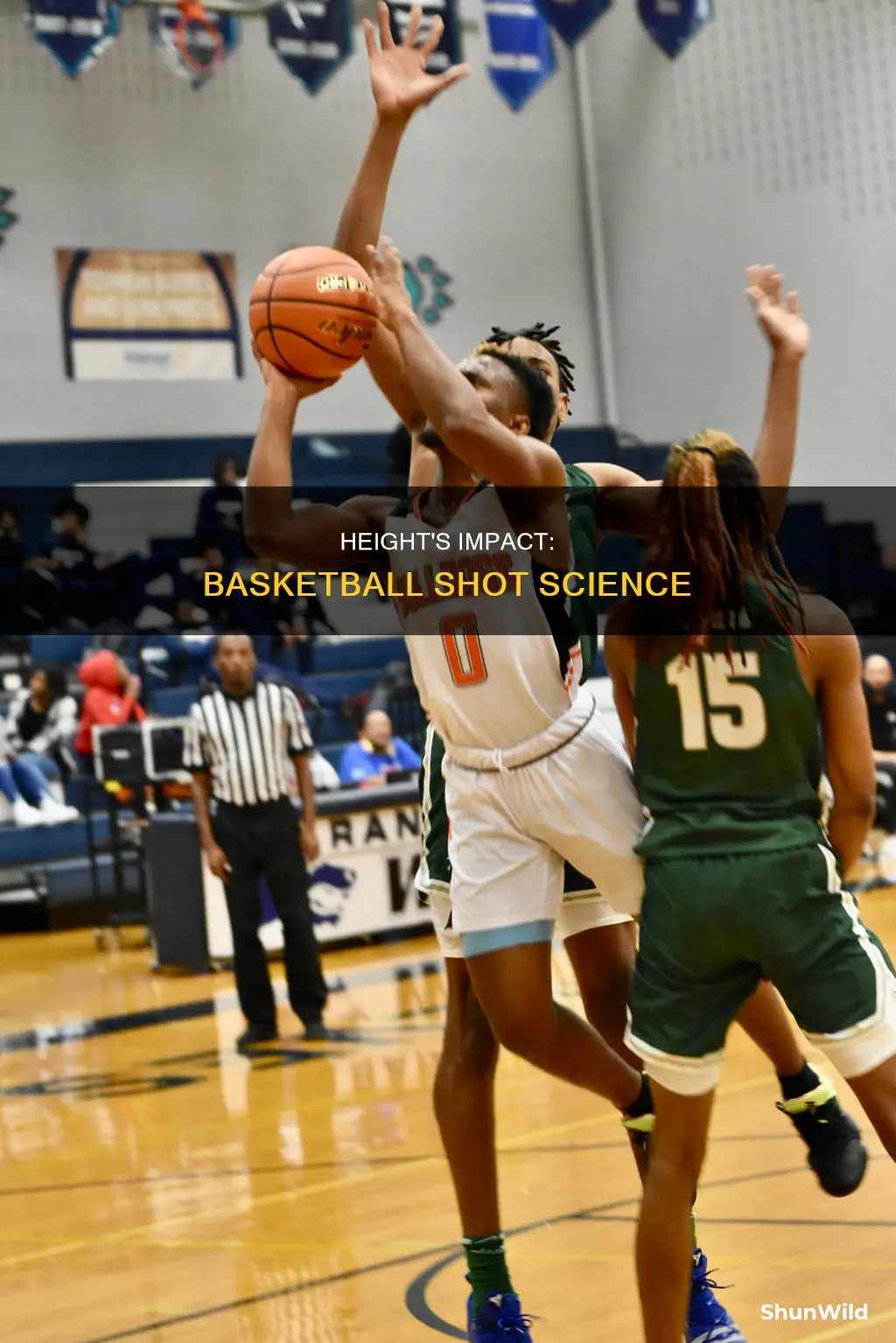 does height affect a basketball shot