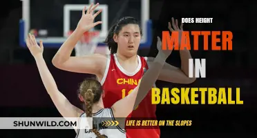 Height: A Basketball Advantage or Overrated Trait?
