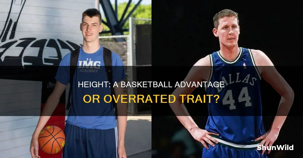 does height matter in basketball