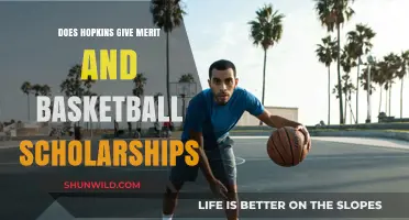 Hopkins Scholarships: Merit, Basketball, and More