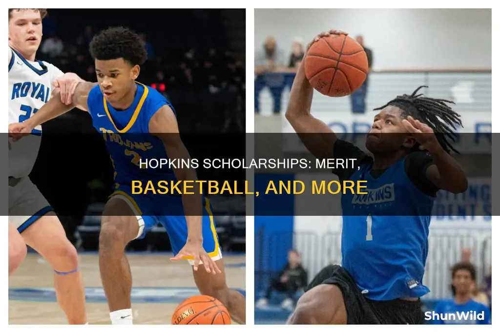 does hopkins give merit and basketball scholarships