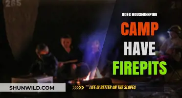 Housekeeping Camp Firepits: Availability, Rules, and Camping Experience Guide