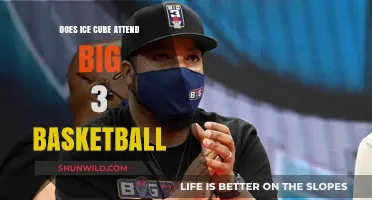 Ice Cube's Big 3 Basketball Attendance