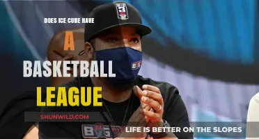 Ice Cube's Big3: A New Basketball League