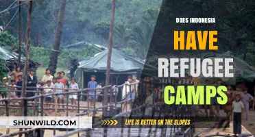 Exploring Indonesia's Role in Hosting Refugee Camps: Facts and Insights