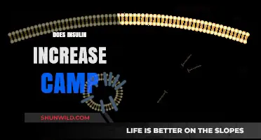 Insulin's Impact on cAMP Levels: Unraveling the Hormonal Connection