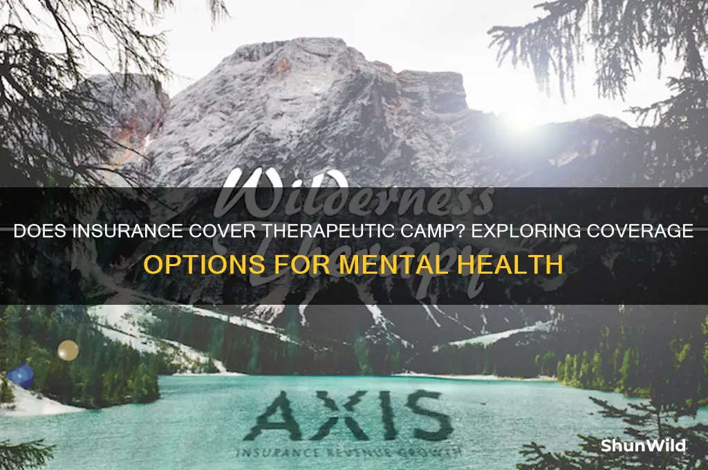 does insurance cover therapeutic camp