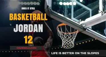 The Jordan 12: Still a Basketball Icon?