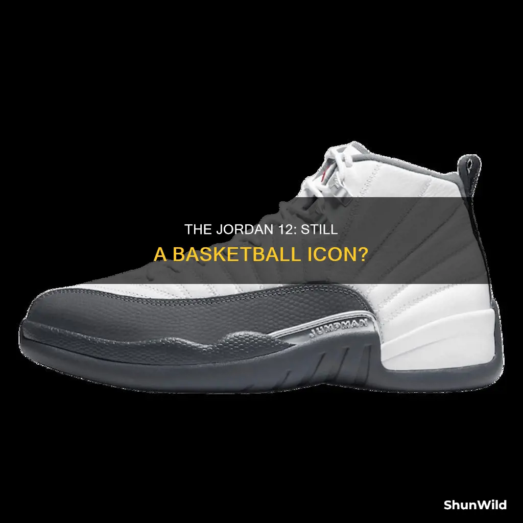 does it still basketball jordan 12