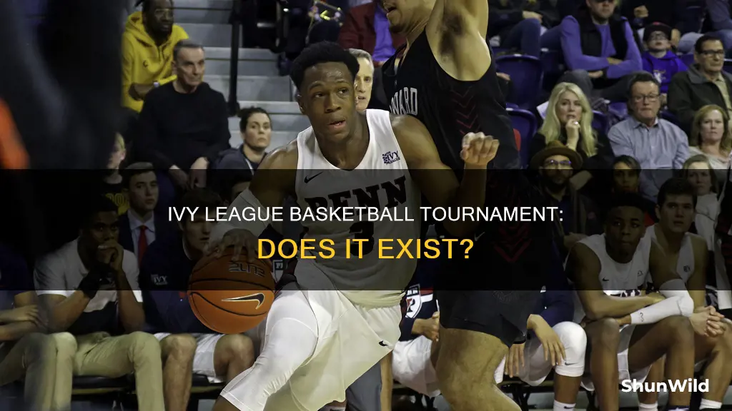 does ivy league have basketball tournament