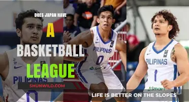 Japan's Basketball Scene: A Professional League?
