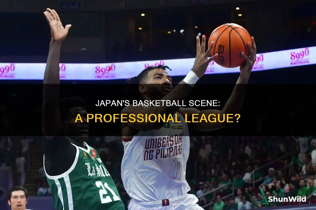 does japan have a basketball league