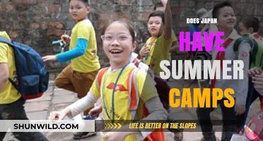 Exploring Japan's Summer Camps: Fun, Learning, and Adventure for Kids