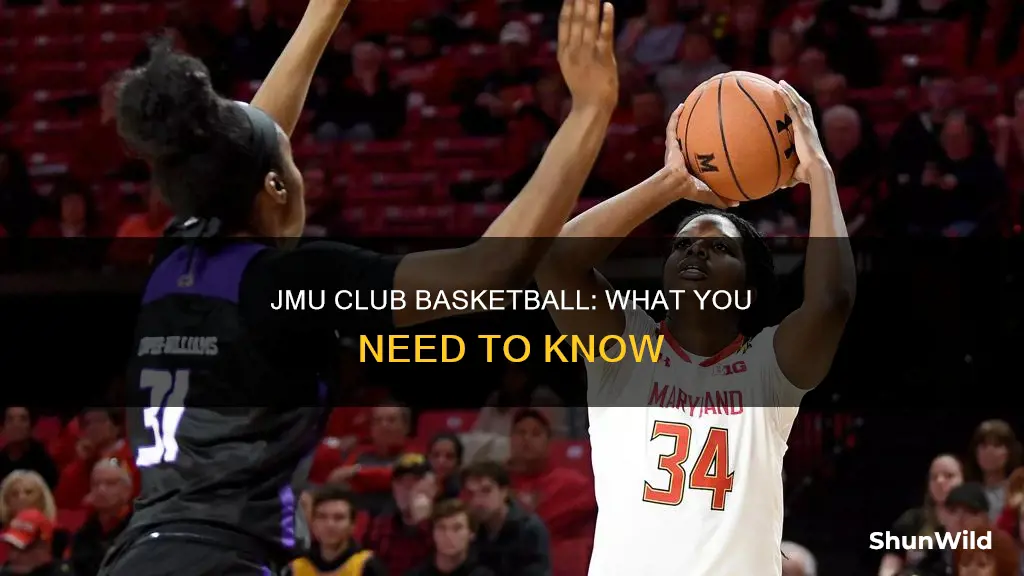 does jmu have club basketball