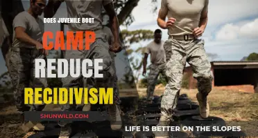 Juvenile Boot Camps: Effective Recidivism Reduction or Temporary Solution?