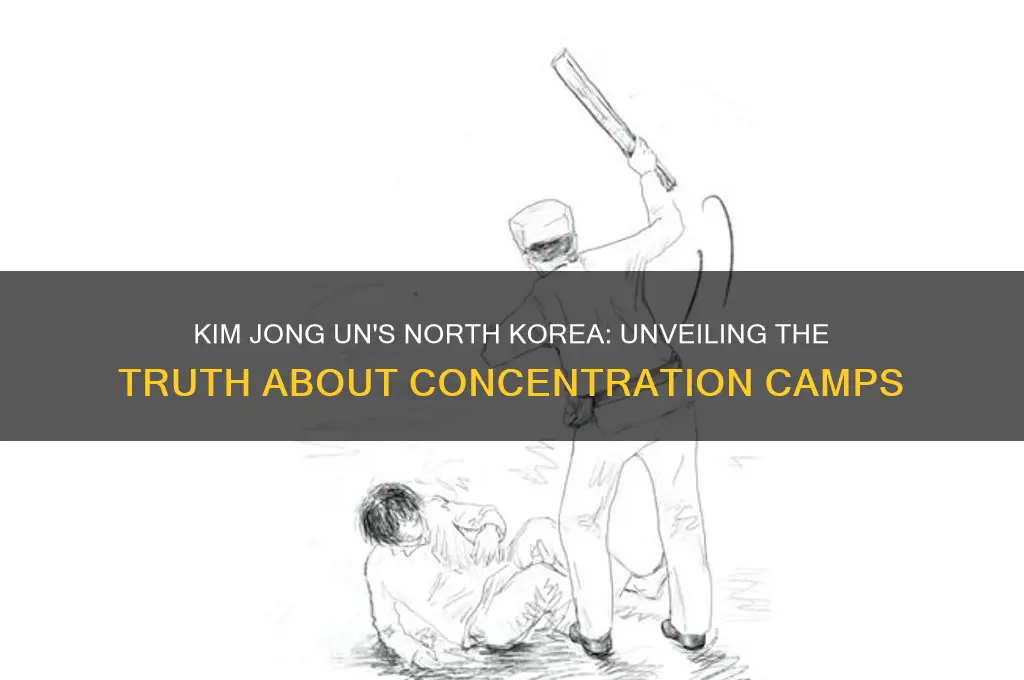 does kim jong un have concentration camps