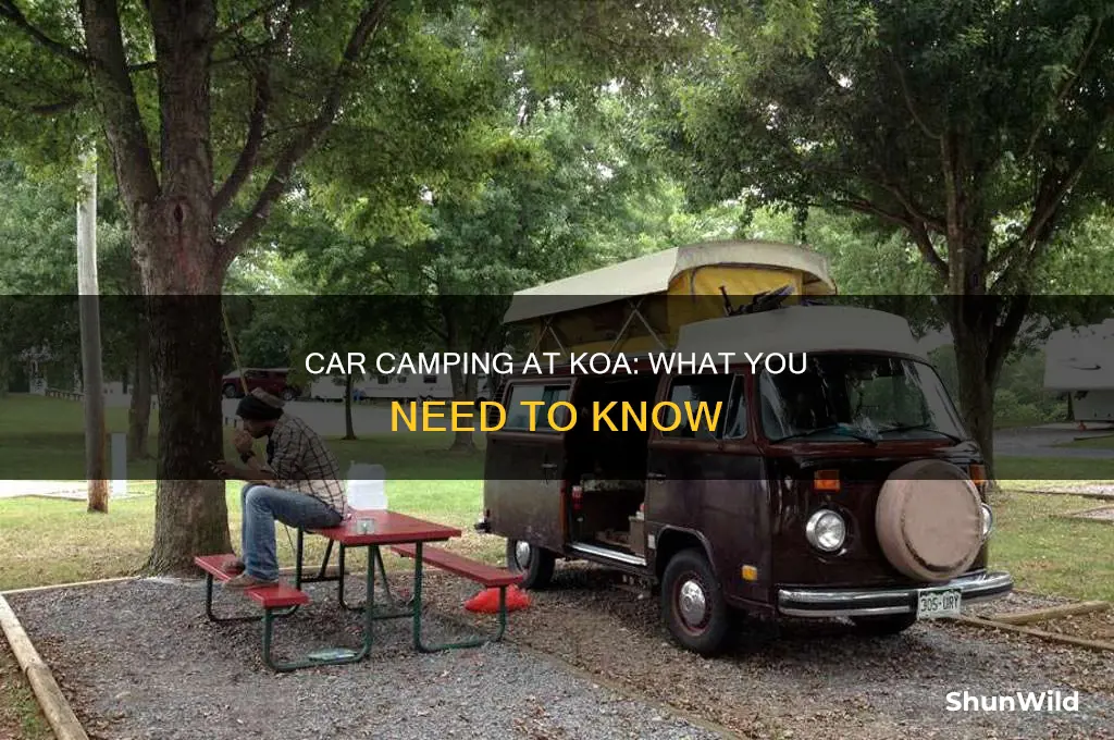 does koa allow car camping
