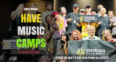 Exploring Korea's Music Camps: Opportunities for Aspiring Musicians