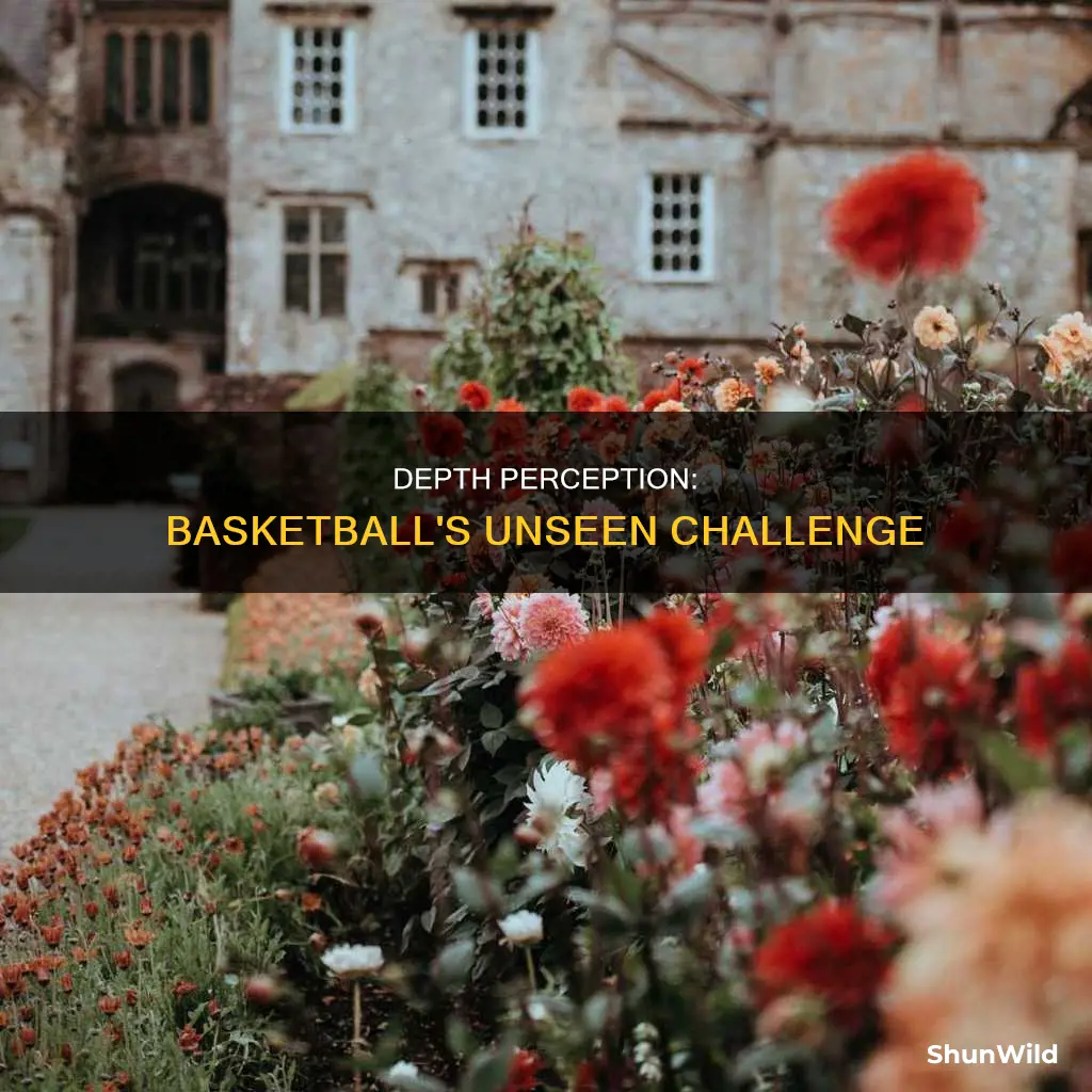 does lack of depth perception affect basketball