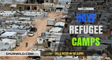 Lebanon's Refugee Camps: Reality, Challenges, and Humanitarian Efforts Explored