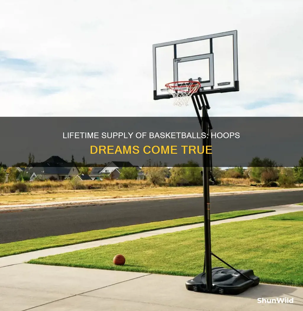 does lifetime supply basketballs