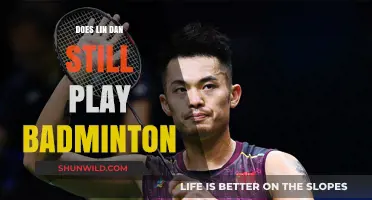 Lin Dan's Badminton Legacy: Still Playing?