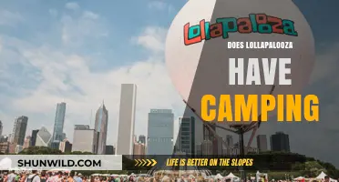 Lollapalooza Camping Guide: What You Need to Know Before You Go