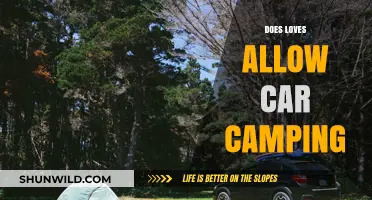 Can You Car Camp at Loves? Exploring Overnight Parking Options