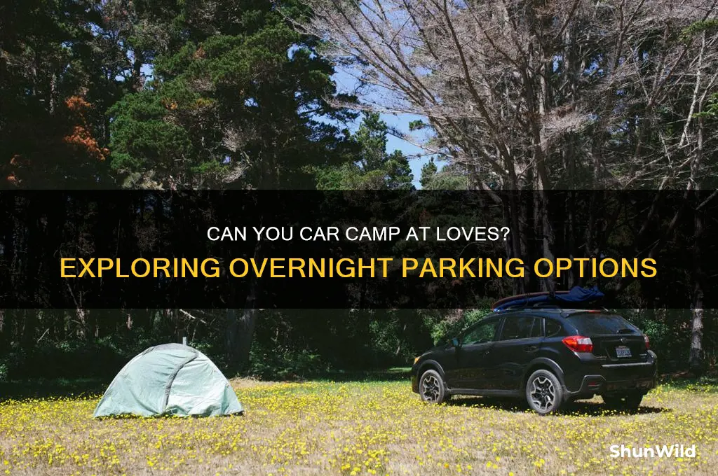 does loves allow car camping