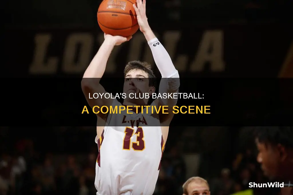 does loyola have clib basketball