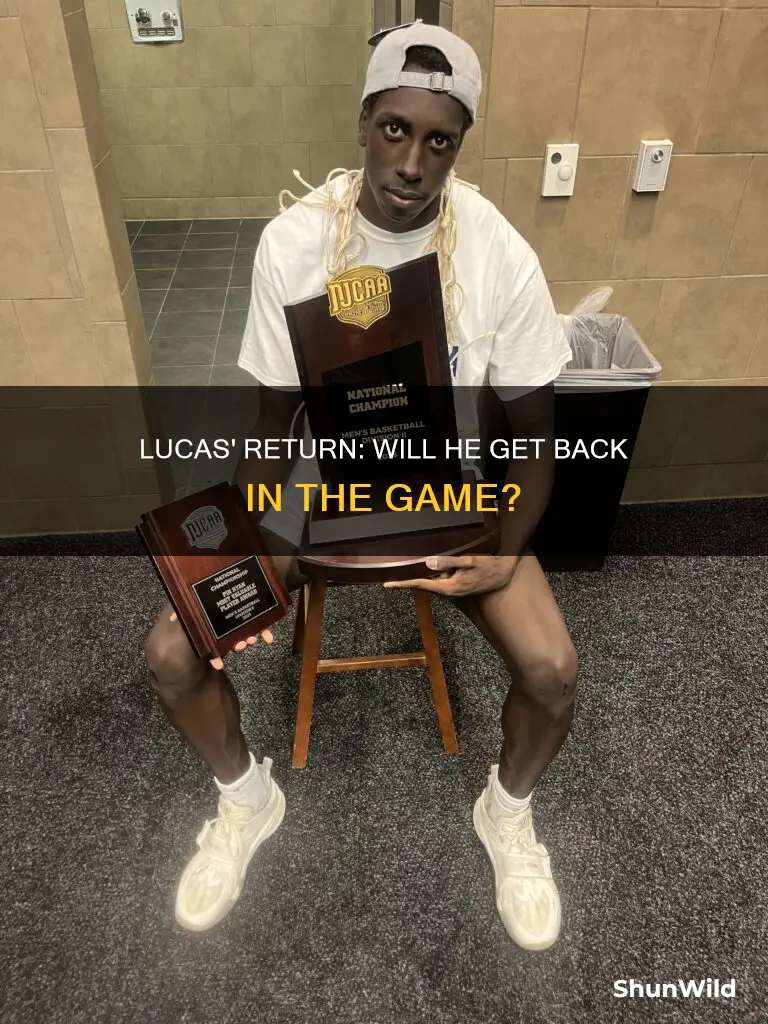 does lucas go back to basketball