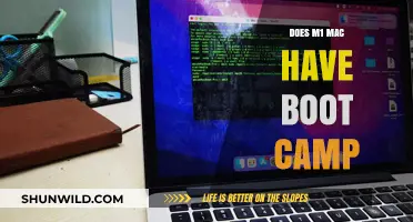 Can You Install Windows on M1 Mac Without Boot Camp?