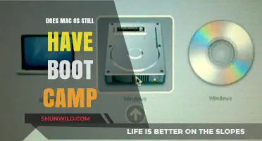 Does macOS Still Support Boot Camp? A Comprehensive Guide