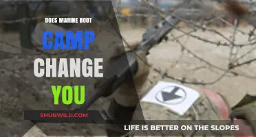 Marine Boot Camp Transformation: How It Reshapes Mind, Body, and Spirit