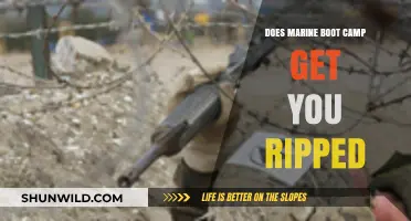 Marine Boot Camp: Does It Transform Your Body and Get You Ripped?
