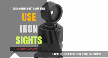Marine Boot Camp Training: Do Iron Sights Remain in Use Today?