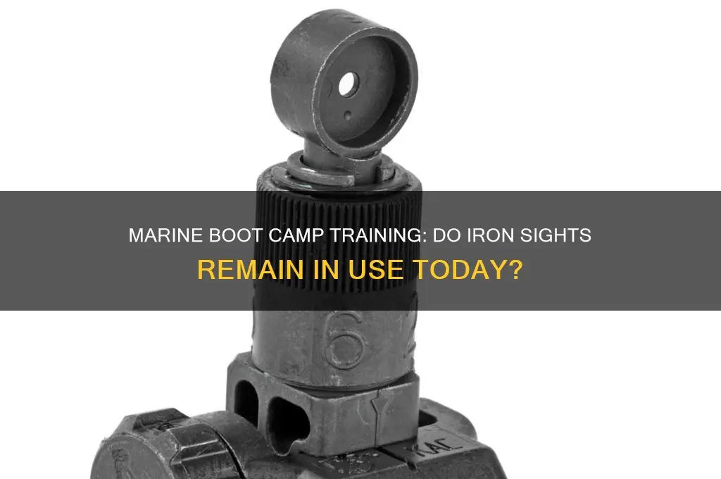 does marine boot camp still use iron sights
