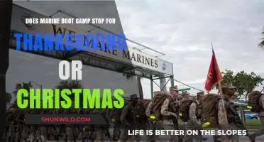 Marine Boot Camp Holiday Schedule: Thanksgiving and Christmas Breaks Explained