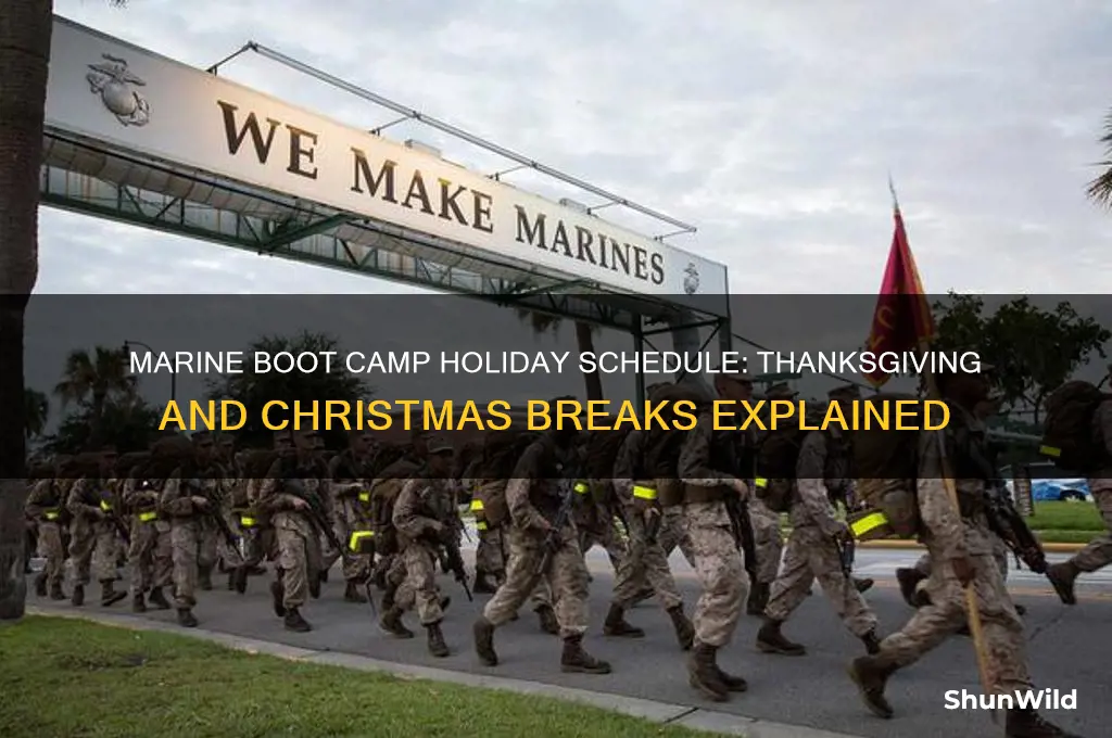 does marine boot camp stop for thanksgiving or christmas