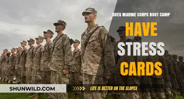 Marine Corps Boot Camp: The Truth About Stress Cards Explained