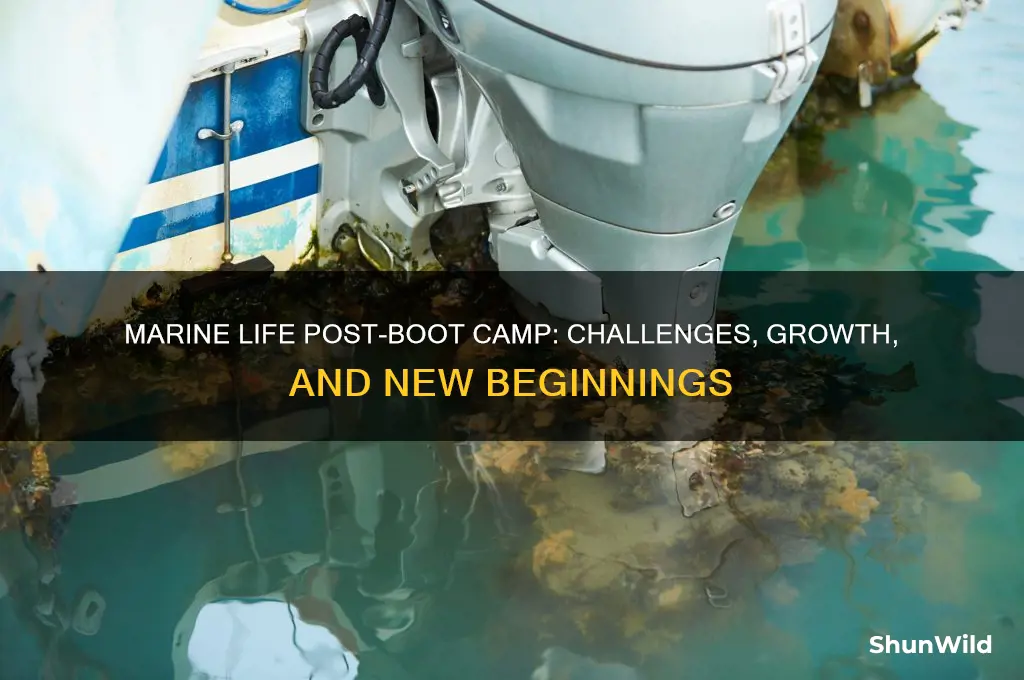 does marine life get better after boot camp