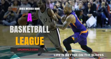 Mexico's Basketball Scene: A Professional League?